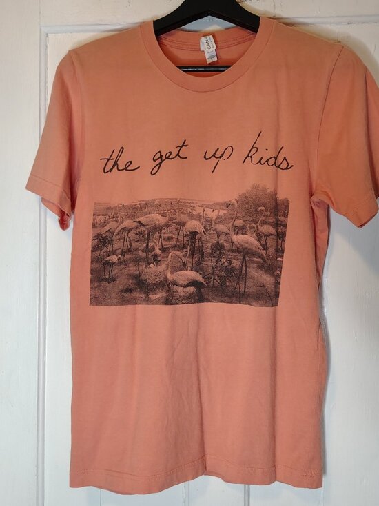 Bella Canvas Other - The Get Up Kids Band Problems Flamingo Crew Neck Short Sleeve T-Shirt Mens Small